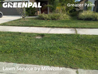 Lawn Service nearby Tampa, FL, 