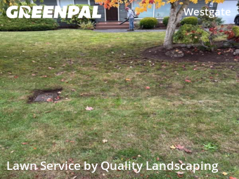 Grass Care in Edmonds, 98020, Garden Trimming by Quality Landscaping, work completed in Nov , 2025