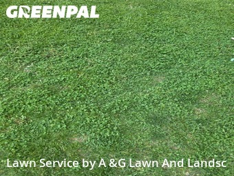 Grass Cut nearby Hamilton, OH, 