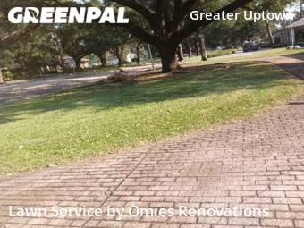 Grass Cutting nearby Houston, TX, 