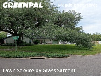 Lawn Care Service nearby Tampa, FL, 