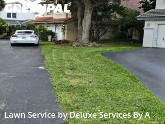 Lawn Upkeep in Margate, 33063, Lawn Cutting by Deluxe Services By A, work completed in Dec , 2025