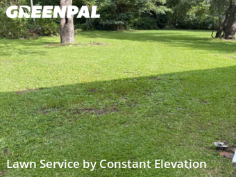 Grass Cutting nearby La Grange, NC, 