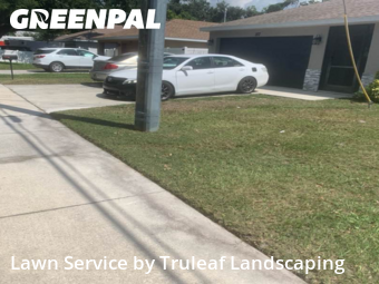 Lawn Cut nearby Palmetto, FL, 