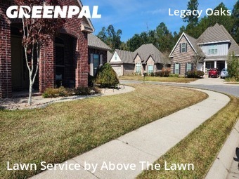 Garden Trimming in Pensacola, 32514, Lawn Cutting by Above The Lawn, work completed in Dec , 2025