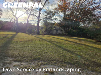 Lawn Management in Charleston, 29412, Backyard Mowing by Bdrlandscaping, work completed in Nov , 2025