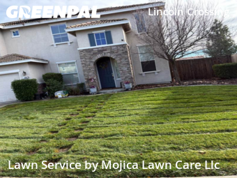 local-lawn-cutting-services-in-Woodland-CA