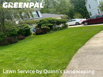 Grass Cut nearby Waterford Township, MI, 