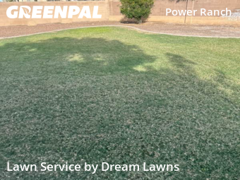Grass Cut nearby Gilbert, AZ, 