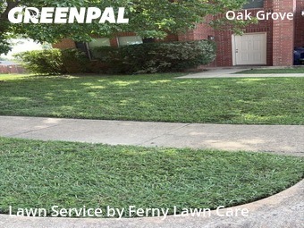 Grass Cut nearby Burleson, TX, 