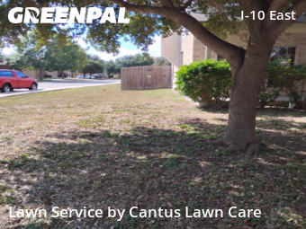 Yard Cutting nearby Converse, TX, 