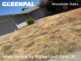 Work completed by affordable-grass-cutting-businesses-in-Citrus Heights-CA
