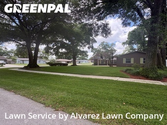 Lawn Cutin Altamonte Springs,32714,Lawn Mow by Alvarez Lawn Company, work completed in Jun , 2026