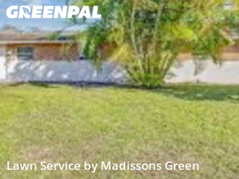 Yard Management in Palm Beach Gardens, 33410, Yard Maintenance by Madissons Green, work completed in Nov , 2025