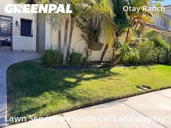 Work completed by yard-maintenance-professionals-in-Chula Vista-CA