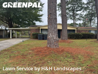 Lawn Care in Savannah, 31406, Lawn Cutting by H&H Landscapes, work completed in Nov , 2025