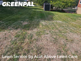 Grass Cutting nearby Pittsburgh, PA, 