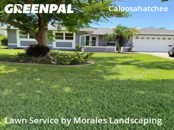 Lawn Mow nearby Cape Coral, FL, 