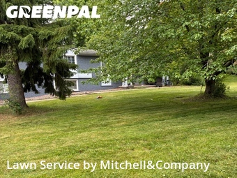 Lawn Mow nearby West Bloomfield Township, MI, 