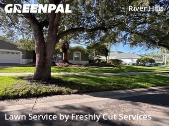 Yard Cutting nearby Valrico, FL, 