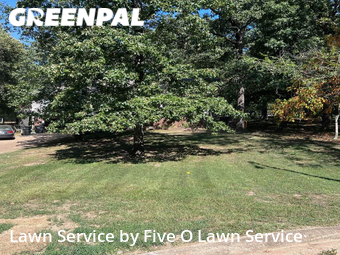 Lawn Cutting nearby Jonesboro, AR, 