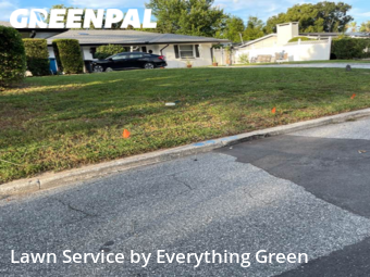 Grass Cut nearby Maitland, FL, 