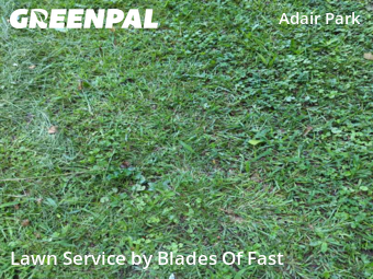 Lawn Cut nearby Atlanta, GA, 