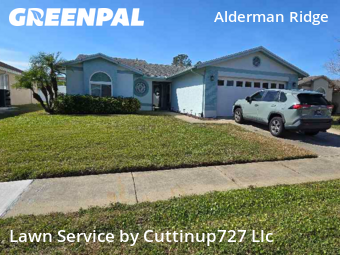 Grass Cutting nearby Palm Harbor, FL, 