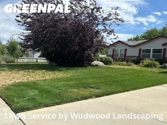 Lawn mowed in West Valley City, 84128
