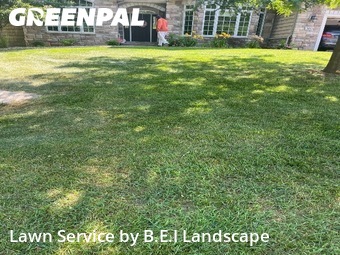 Yard Cutting nearby Kalamazoo, MI, 