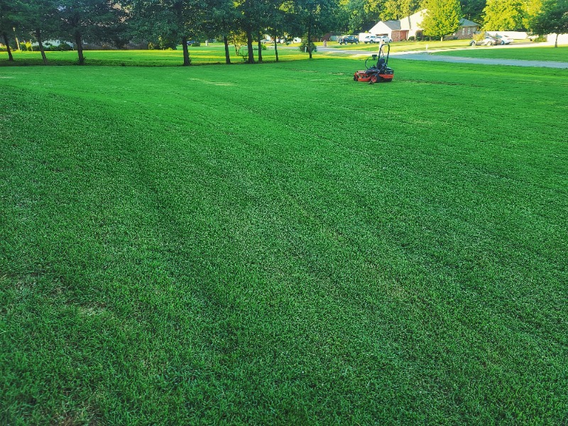 Blue Line, Llc Lawn Care Services in Beebe, AR