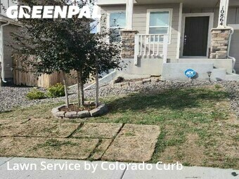 Yard Mowing nearby Colorado Springs, CO, 