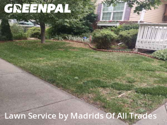 Grass Cutting nearby Timnath, CO, 