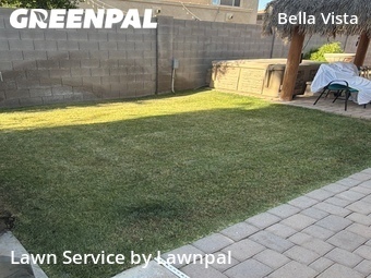 Lawn Cut nearby Gilbert, AZ, 