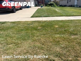 Grass Cut nearby Bloomington, IL, 