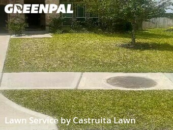 Grass Cutting nearby Pearland, TX, 