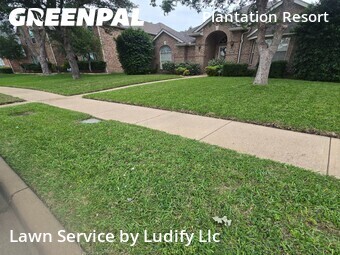 Yard Mowing nearby Frisco, TX, 