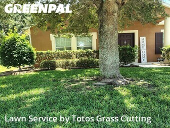 Grass Cutting nearby Apopka, FL, 