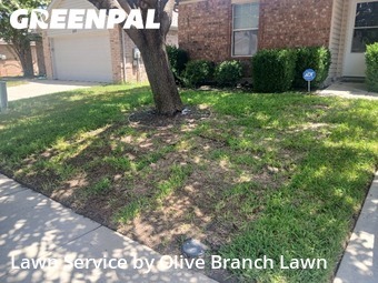Lawn Mowing nearby Haslet, TX, 