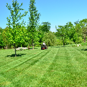 local-lawn-cutting-services-in-Warwick-RI