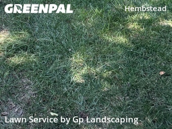 Lawn Service nearby Charlotte, NC, 