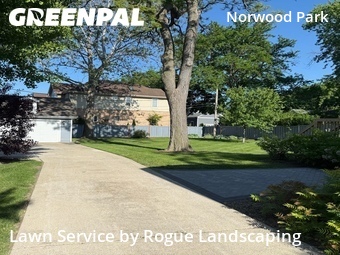 Grass Cutting nearby Chicago, IL, 