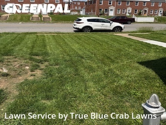 Yard Mowing nearby Dundalk, MD, 