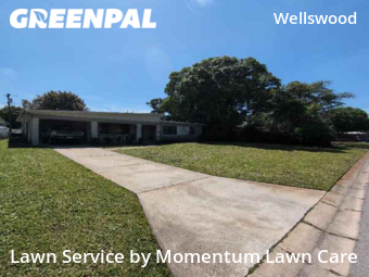 Lawn Service nearby Tampa, FL, 