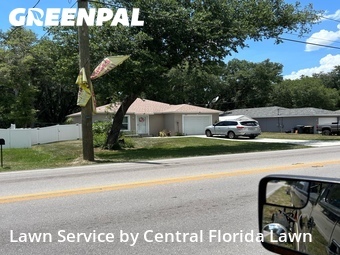 Grass Cut nearby Winter Haven, FL, 
