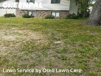 Grass Cutting nearby Maple Grove, MN, 