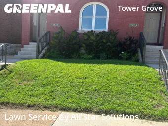 Lawn Maintenance nearby St. Louis, IL, 