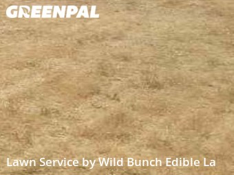 Lawn Care nearby Kent, WA, 
