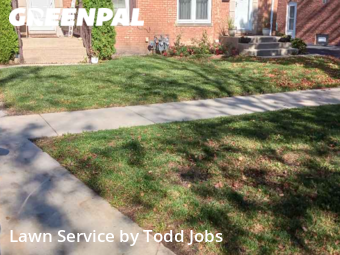 Grass Cutting nearby Des Plaines, IL, 