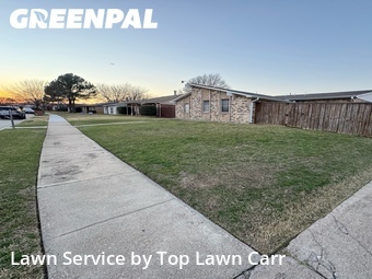Grass Cut nearby Grand Prairie, TX, 